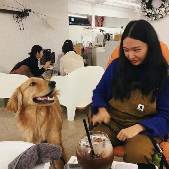 怀孕了，就把狗扔了吧，多脏啊