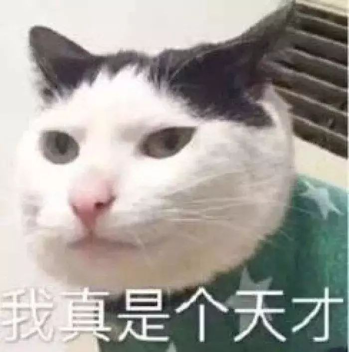 现在出境游还需要领队证吗,出境游导游证