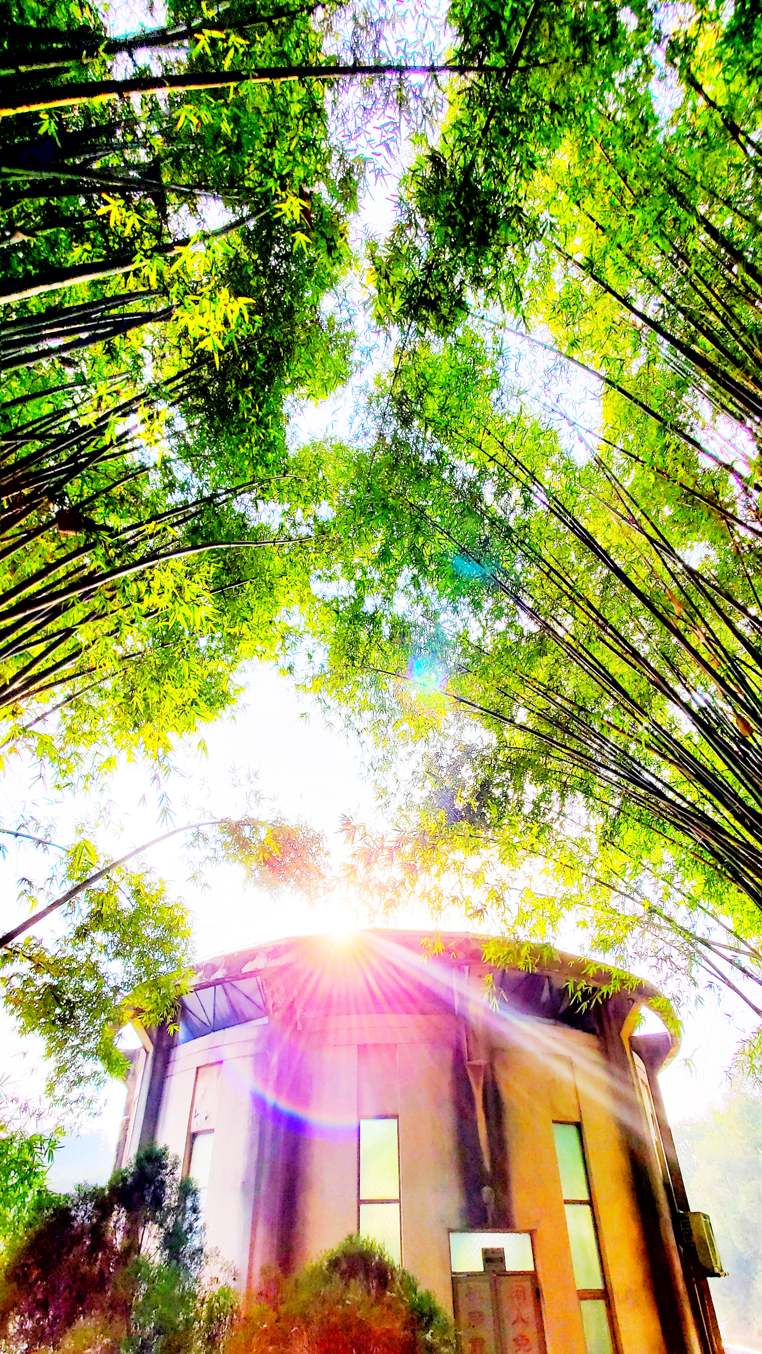 和春住。带着小神兽去踏青