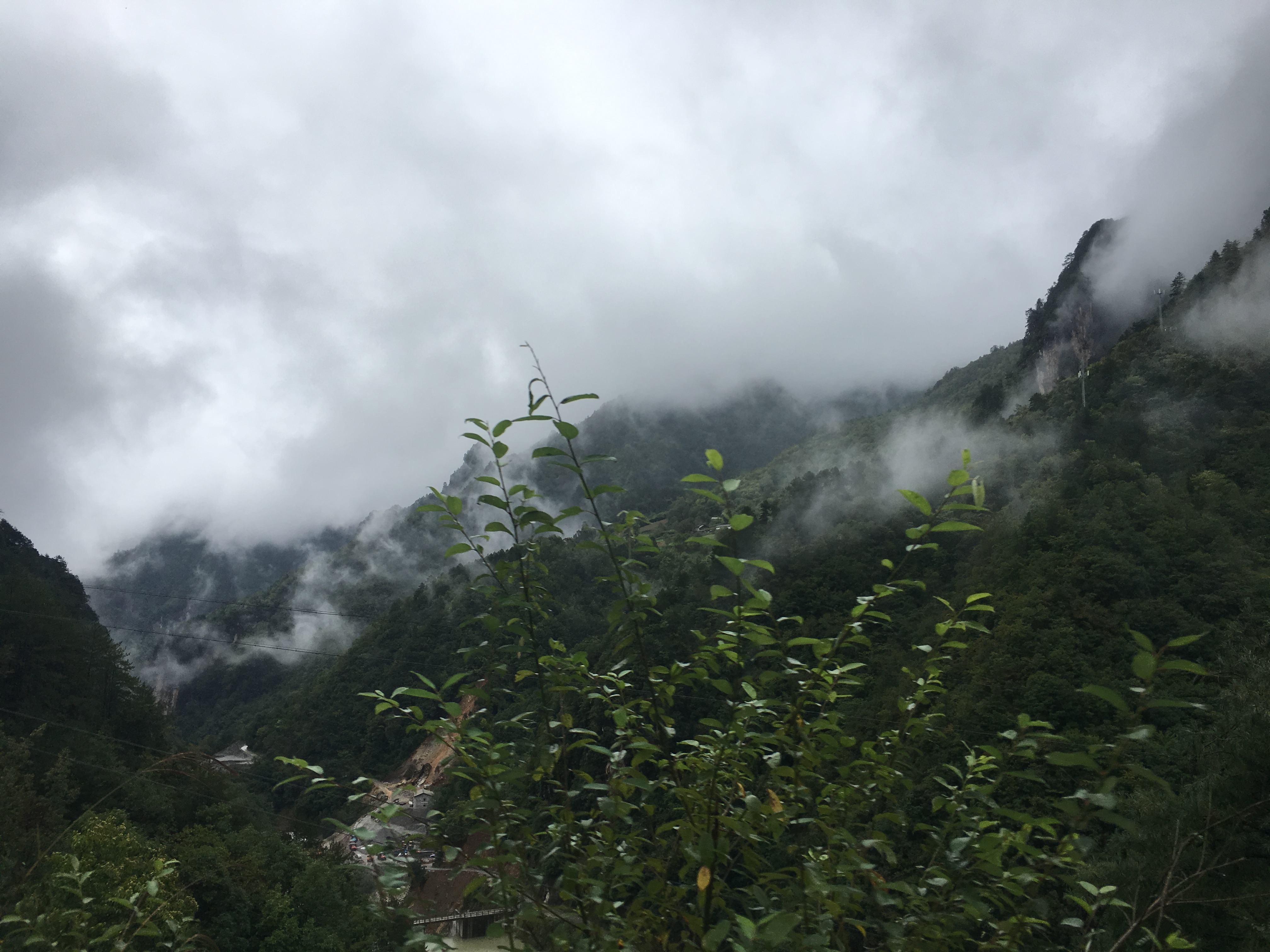 雨中神农架探秘之旅｜国庆节武汉至神农架自驾游攻略分享