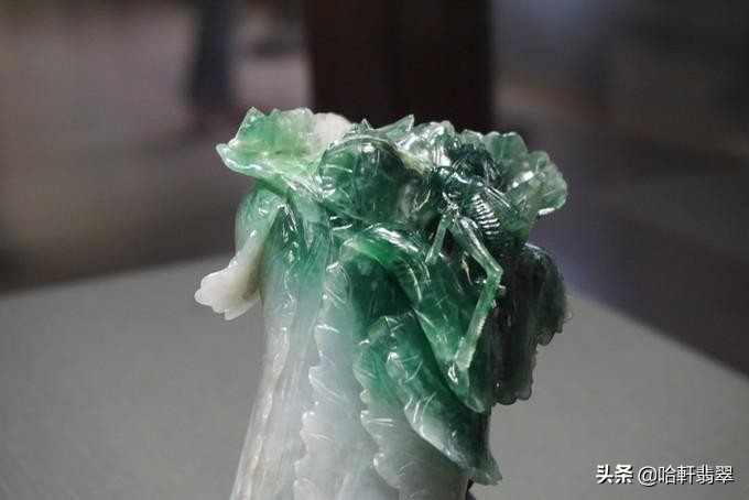 乾隆和白菜,乾隆白菜和太后白菜区别