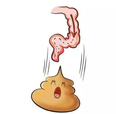 中医大便前面硬后面软是什么原因,大便前硬后软有什么好的方法治吗