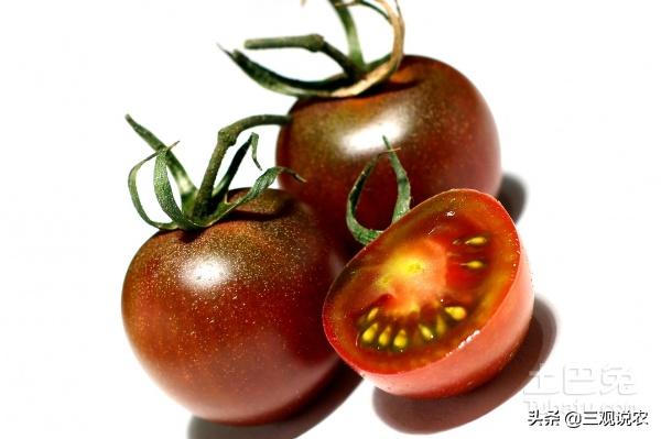 番茄高产栽培技术参考文献,番茄种植技术和管理技术论文