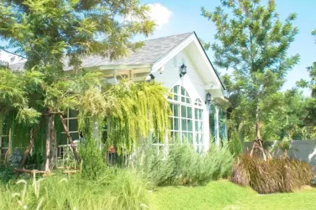 偶遇泰国男明星,偶遇泰国明星ann