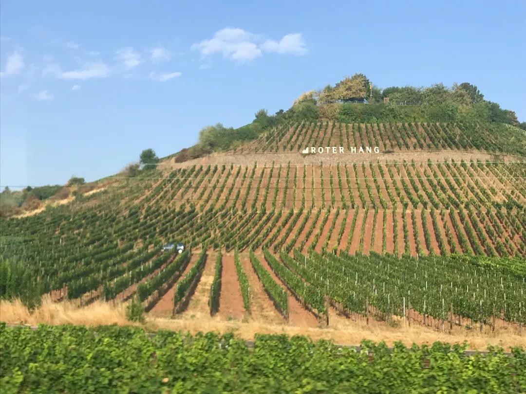 德国葡萄酒庄园,德国葡萄酒品种介绍