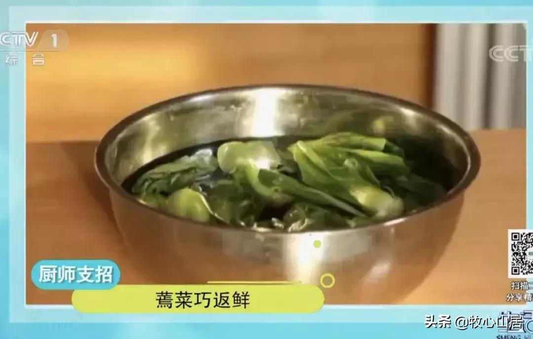 蔬菜蔫了可以怎么利用,蔬菜蔫了怎么办