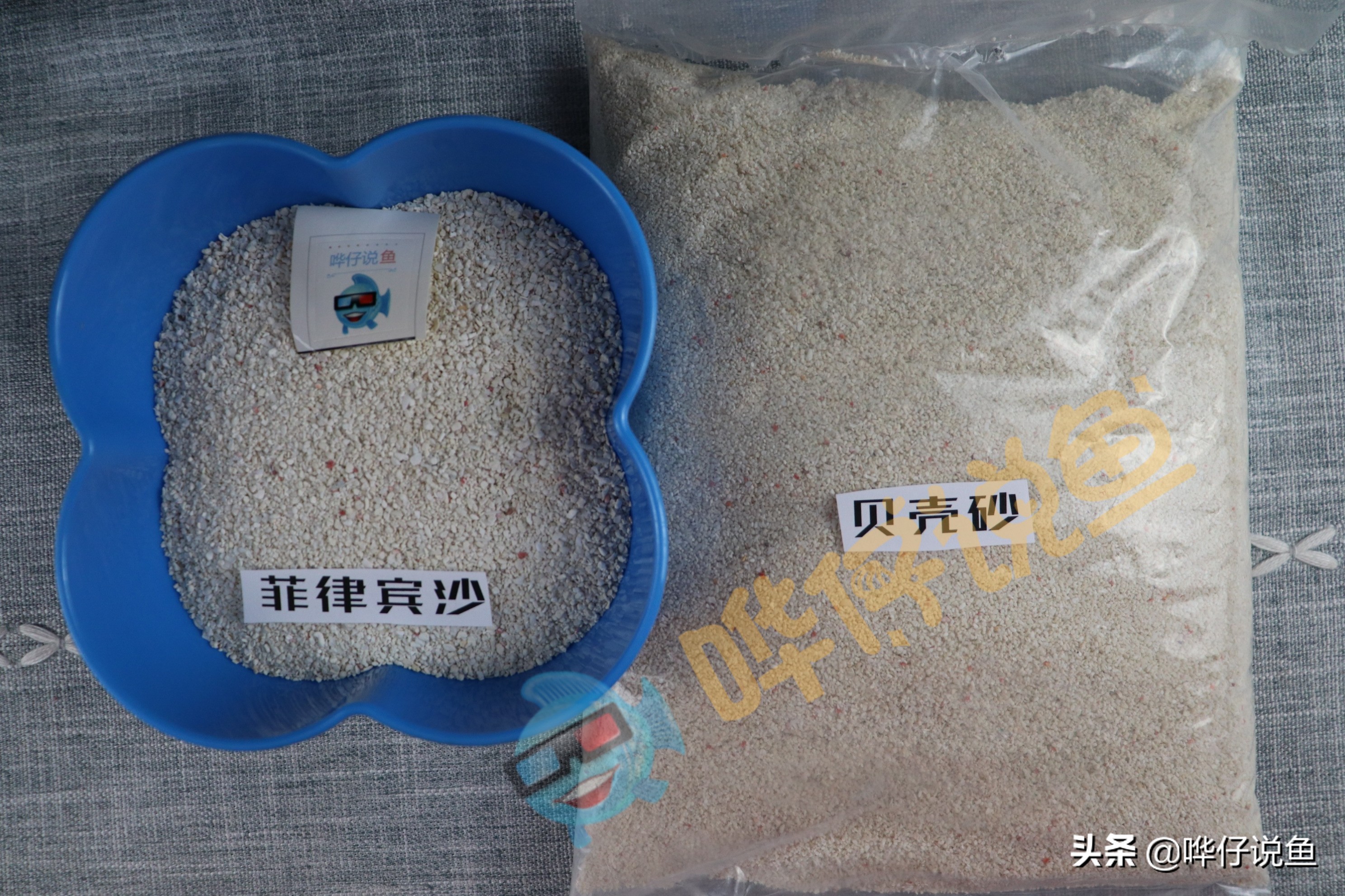 观赏鱼草缸用什么底砂好,夜光砂对观赏鱼有什么影响