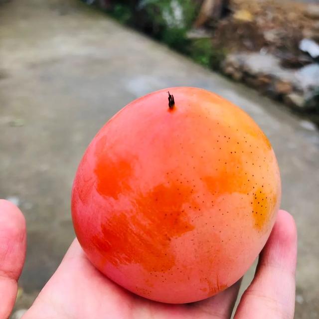 商洛一座美丽的城市,商洛最美的小城市