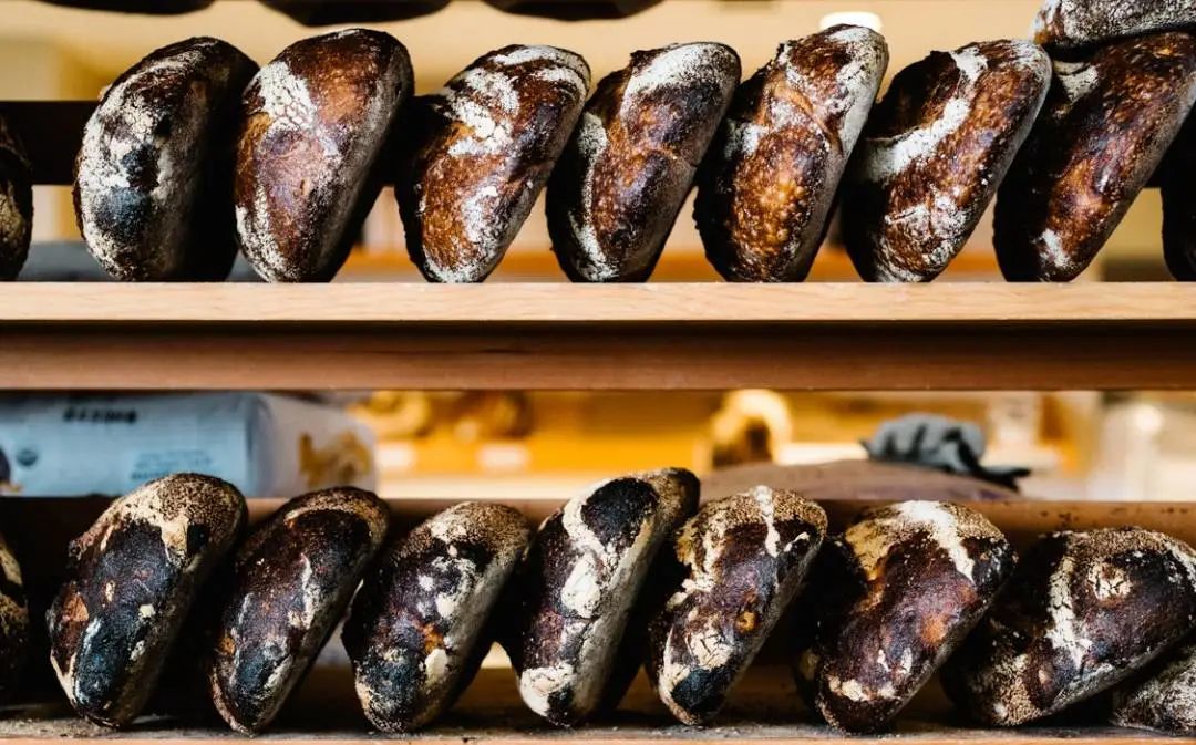 旧金山适合种植植物,旧金山为什么那么美