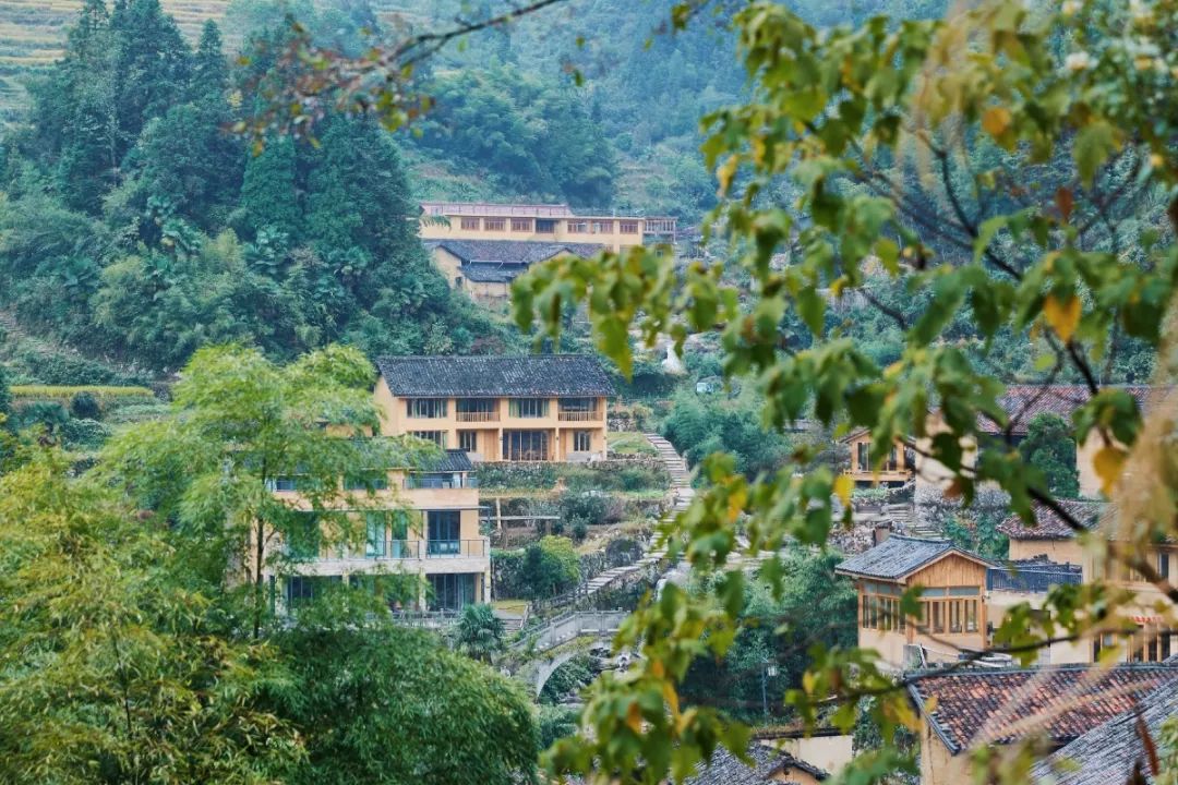 眺云海秘境、西子春晓，每一家都是旅行艺术，带你躺入春天~