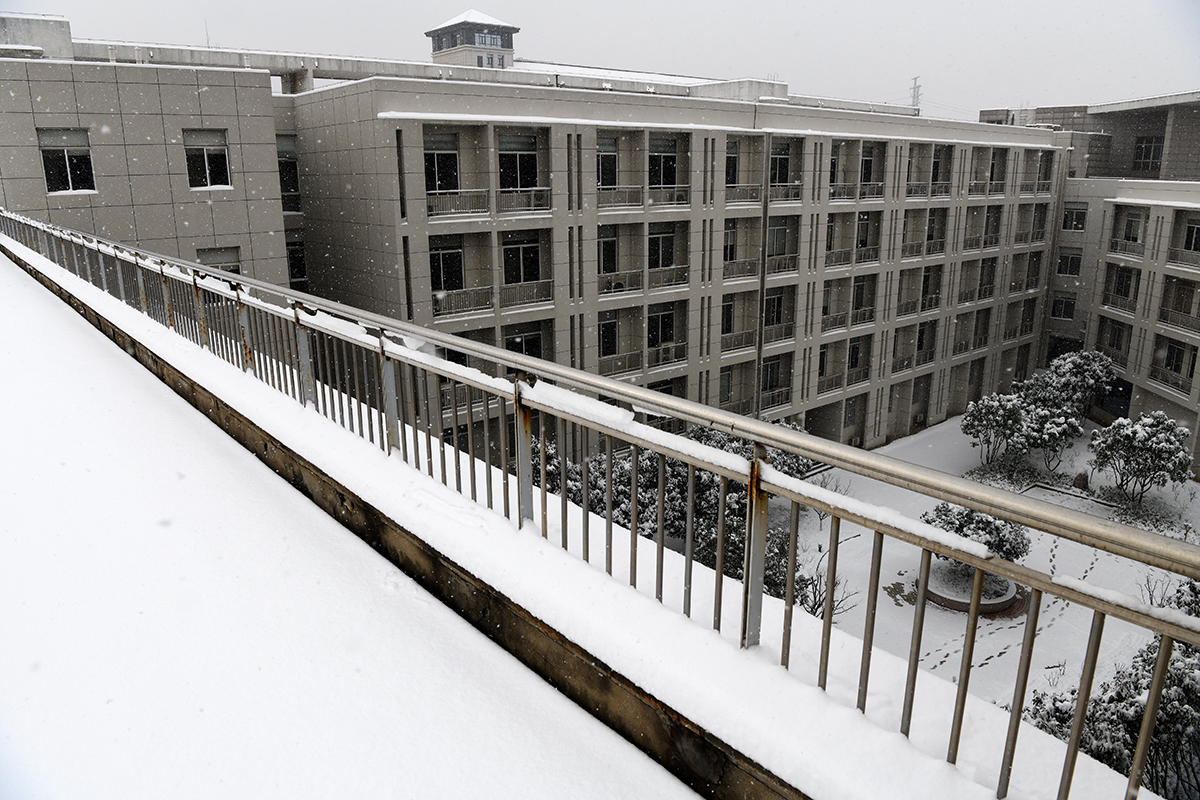 湖北武汉：雪润校园