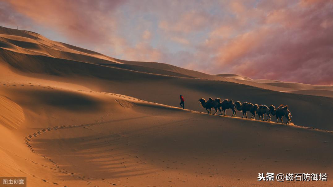 神奇的蚕宝宝的起源,神奇动物之布利多之谜