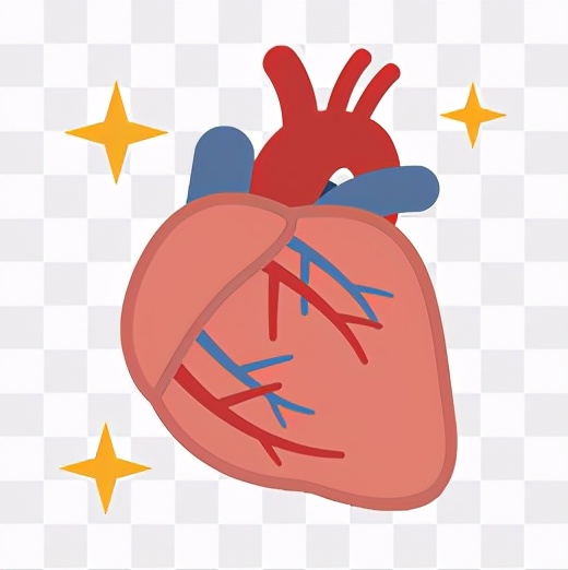 人缺失一个肾有什么副作用,缺少器官能活多久