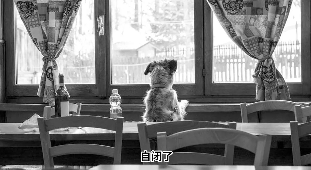 惠州楼市排名,惠州楼市龙头老大