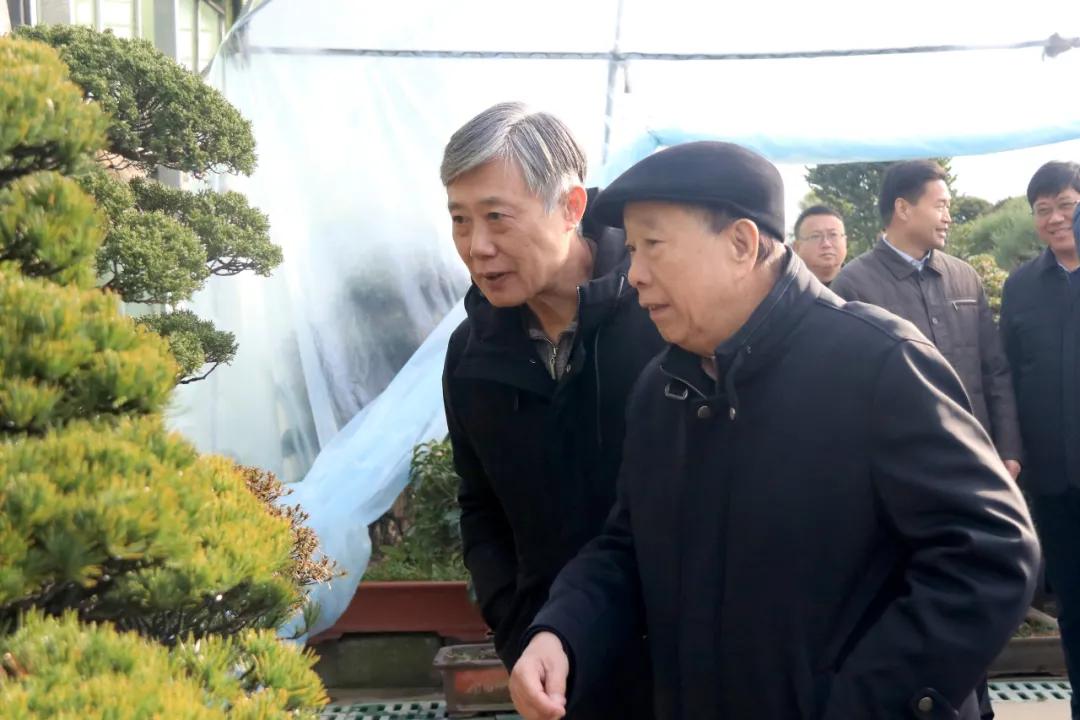 宿迁市沭阳县沭阳国际花木城,沭阳国际花木城布局