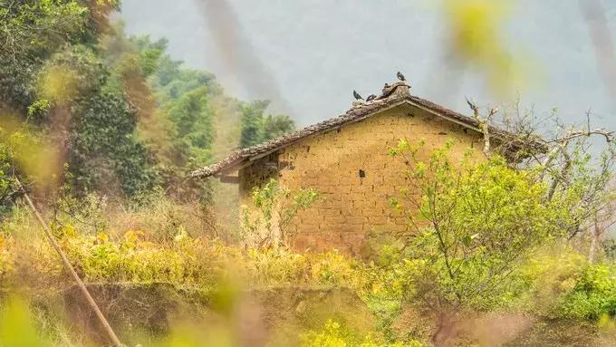中国天堂般的6大徒步旅游胜地,广州最值得去徒步的山峰