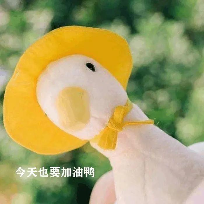 选岗位考公务员优先,选岗公务员