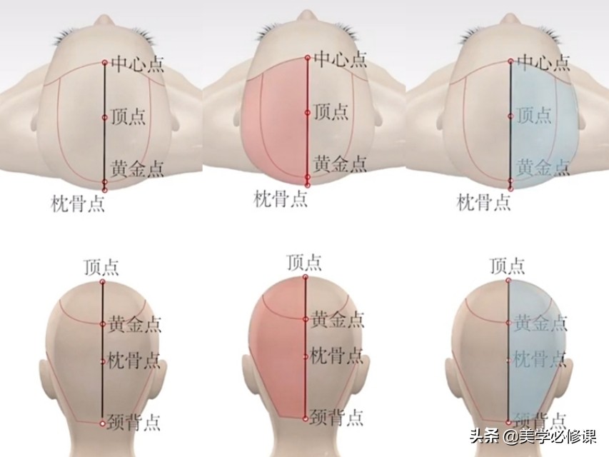 剪发必修课,剪发初学者每日必练手法