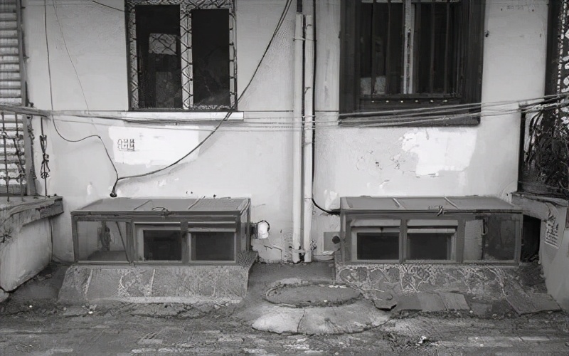 消失的高中生完整版,消失高中生