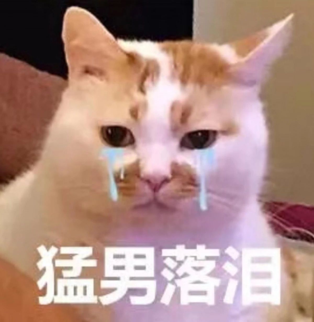 她把脱衣舞跳成艺术被称为世界首席脱衣舞娘,她就是性感的最高级