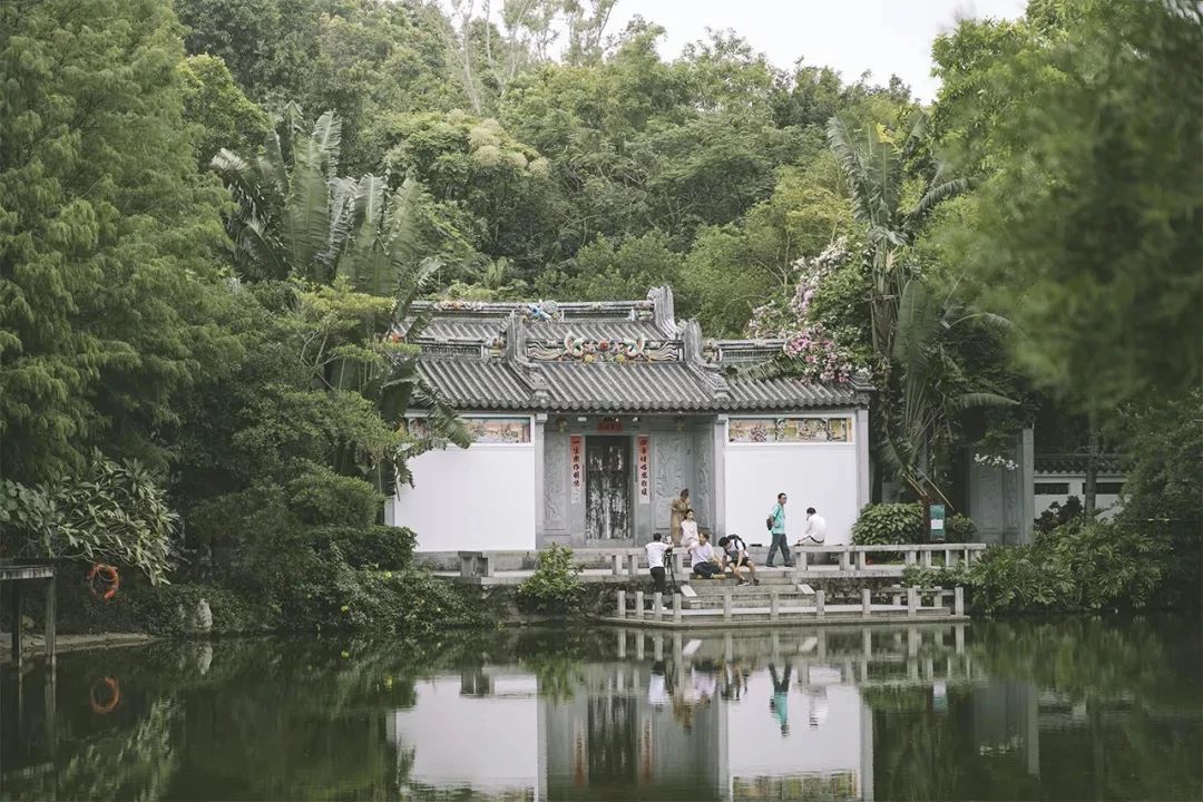 去深圳免费游玩的10个地方,深圳免费游玩景点推荐