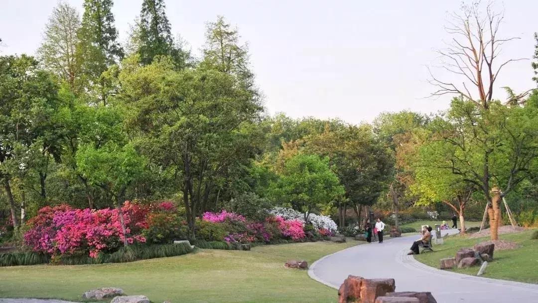 太好了！哈尔滨新区要建个大公园！12个足球场那么大