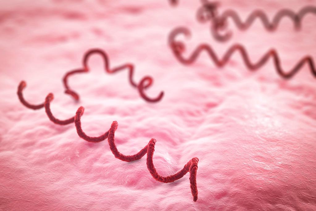 美国人到底有多可恨?用黑人做梅毒实验,这次美国各界都震撼了