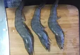 商品饵成分自制方法,发酵鱼饵绝密配方