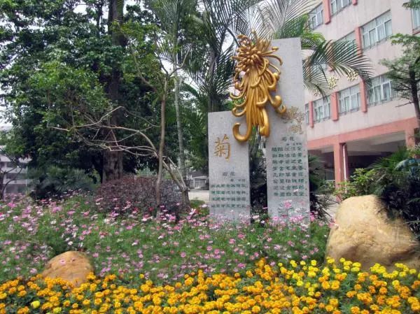 广东二师番禺附中今年本科率,番禺禺山高级中学与二师附中对比