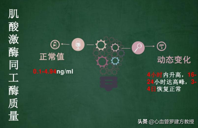 心肌三项中的myo偏高是心梗了吗,心梗三项ck7.42正常吗