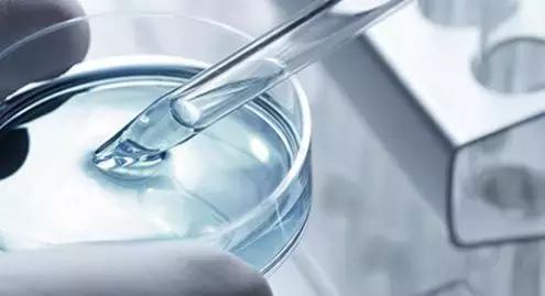 不做猕猴桃女孩是什么意思,不做猕猴桃女孩的图片