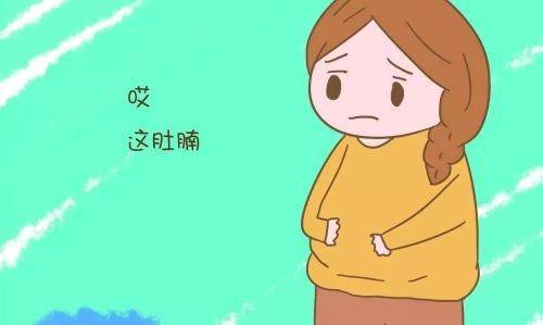 海德力香草奶昔蛋白粉,海德力乳清蛋白巧克力奶昔