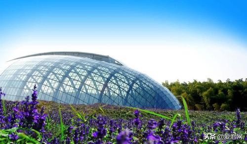 中国最具魅力的、最浪漫的温泉度假村：湖北洪湖悦兮半岛温泉！