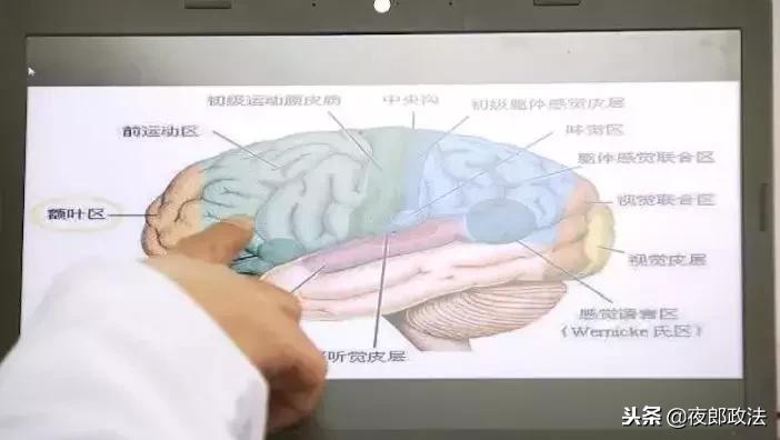 蒙眼也能识字？！培训学校惊现“超能少年”，竟是这样“炼”成的……