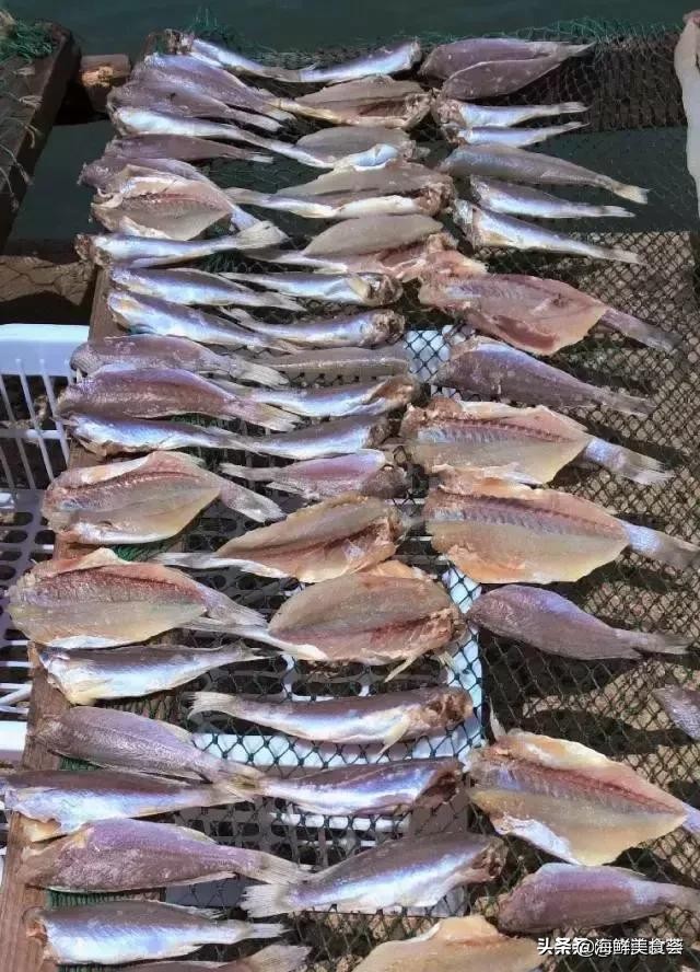 曾是四大海产之一，靠叫声互相识别，却被人类用噪声团灭