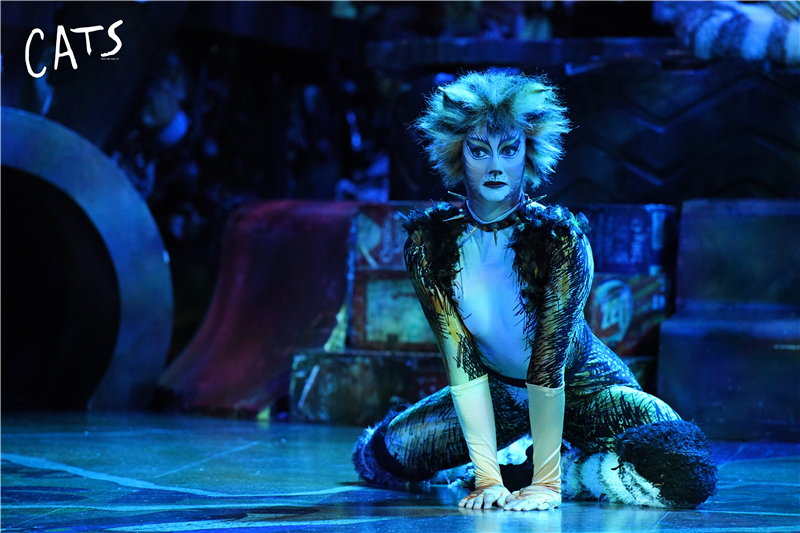 天津大剧院音乐剧演出,天津音乐剧2020