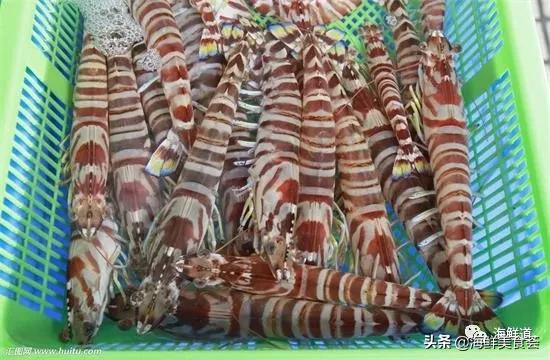 好吃不贵的海鲜种类有哪些,最好吃又最常见海鲜有几种