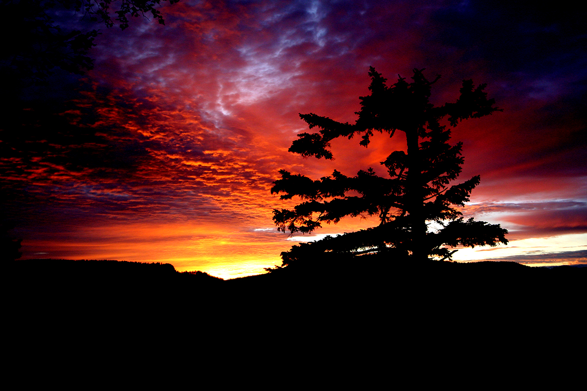 东北地区海拔最高的几座山峰,东北十大最高的山