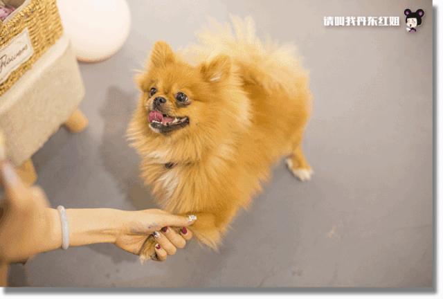 小情侣闺蜜居然在小屋鼓捣一下午，弄出了这个？