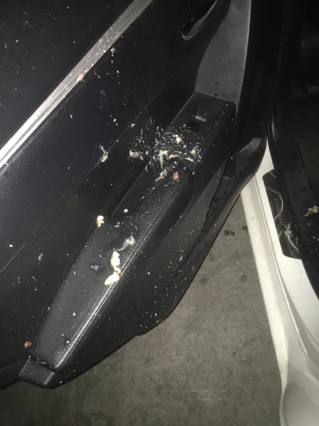 呕吐在滴滴车上得赔偿多少钱,跑滴滴乘客吐车上怎么办