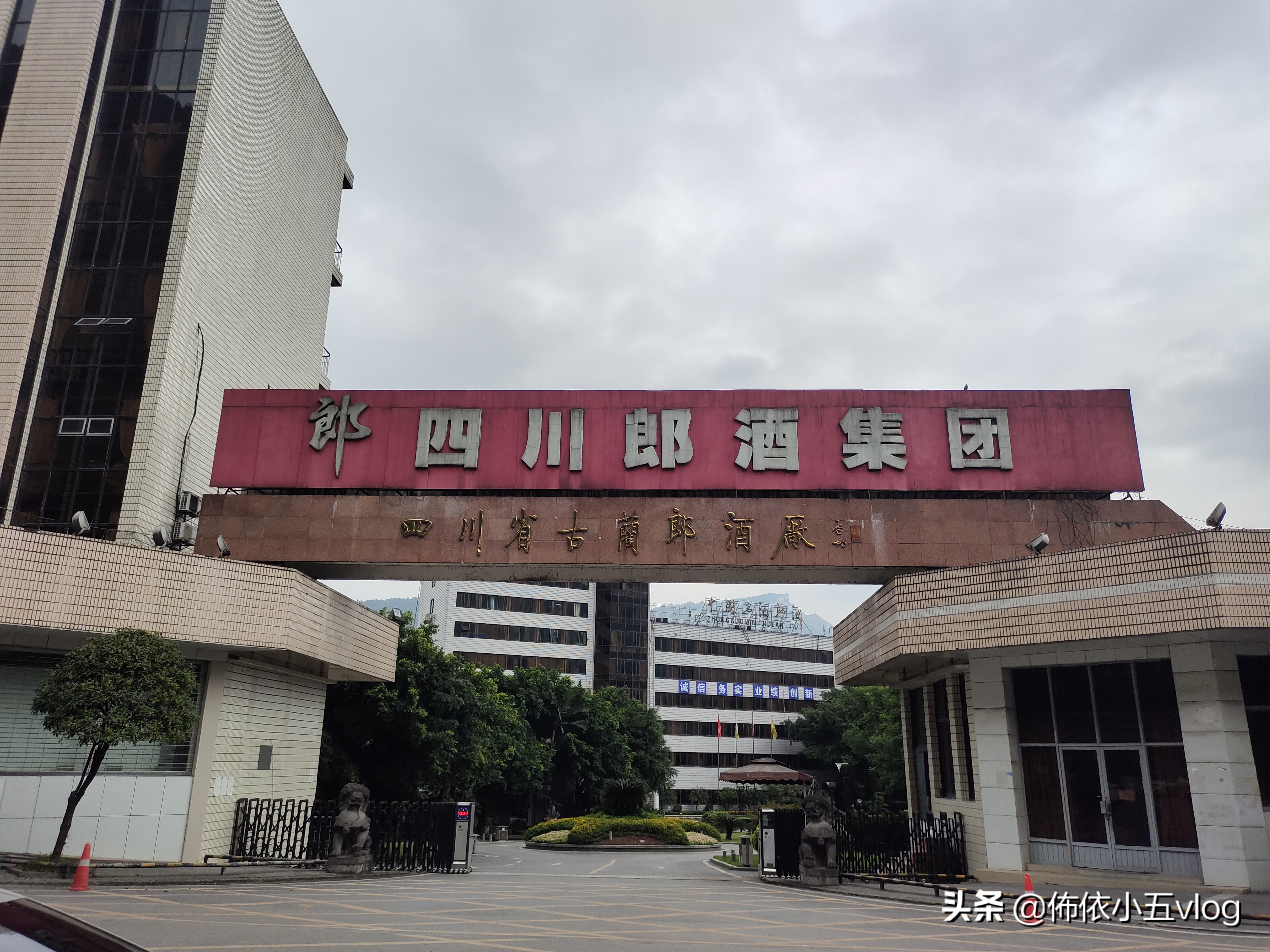 贵州和四川谁才是白酒第一省,贵州和四川隔着一条河名酒