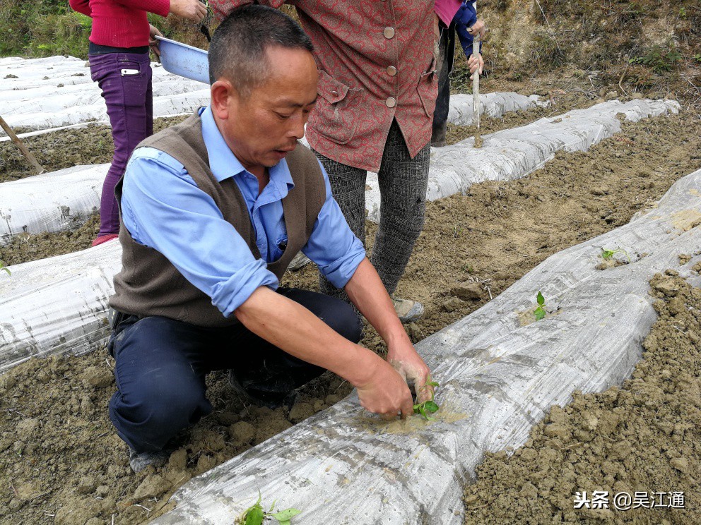 千里相望，梵净山下这一年