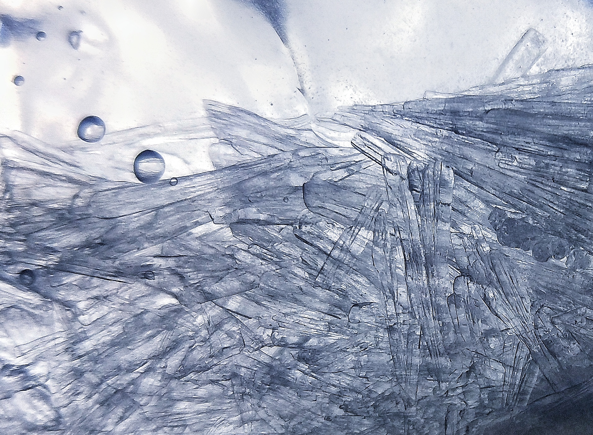 质感摄影视频,质感也是微距摄影的表现