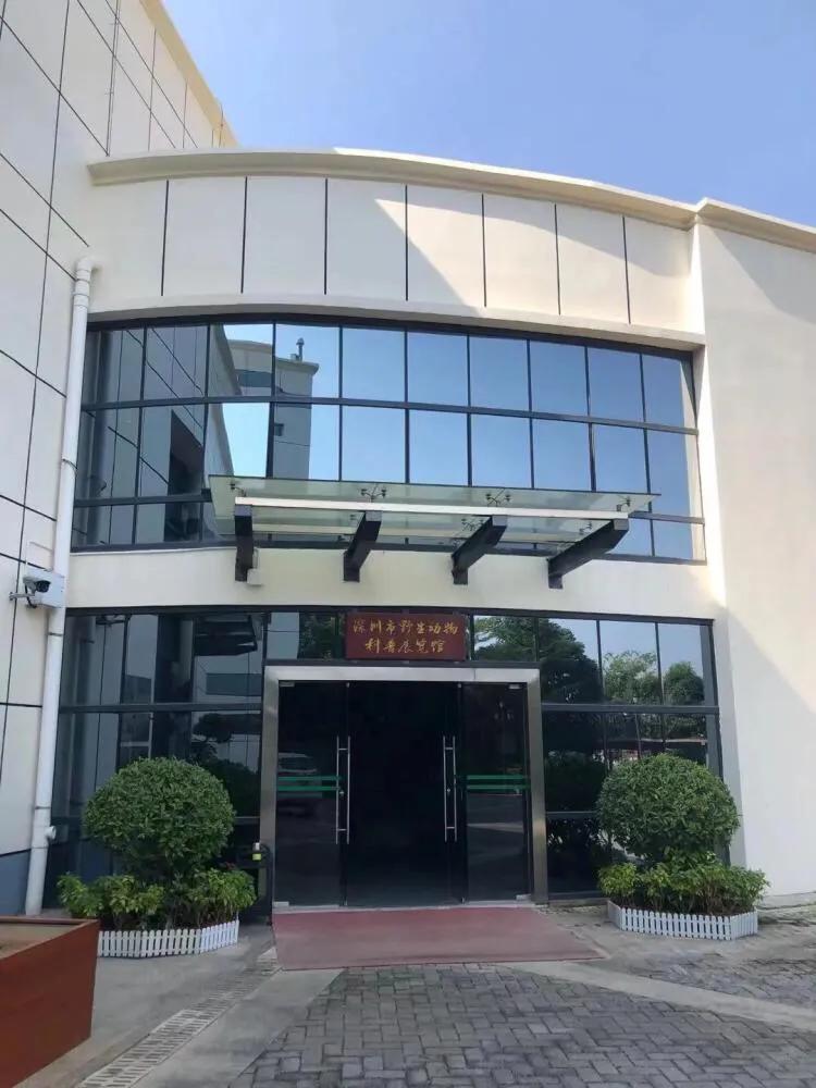 深圳暑假推荐地方,深圳适合高中生参观的地方