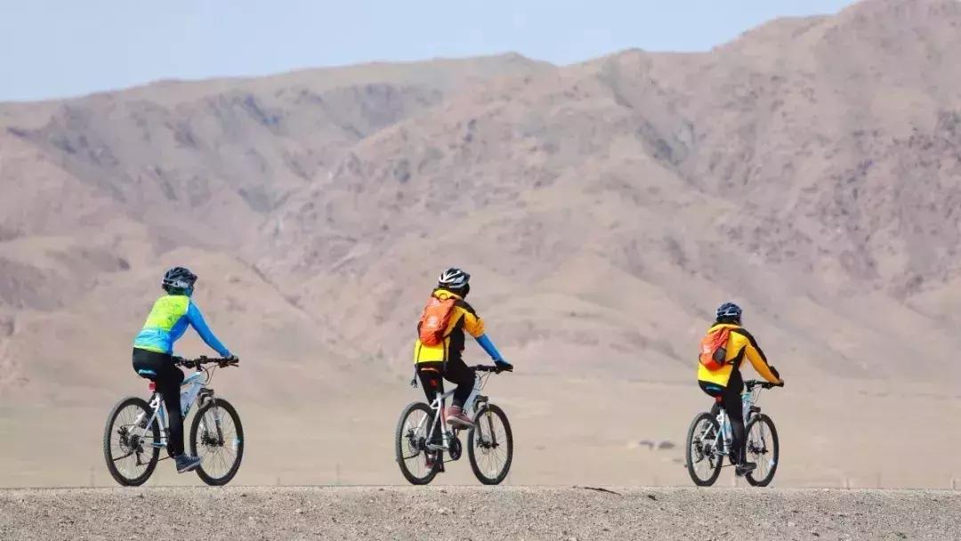 博实乐碧桂园国际学校学费多少,胡润百学国际学校2023全榜排名