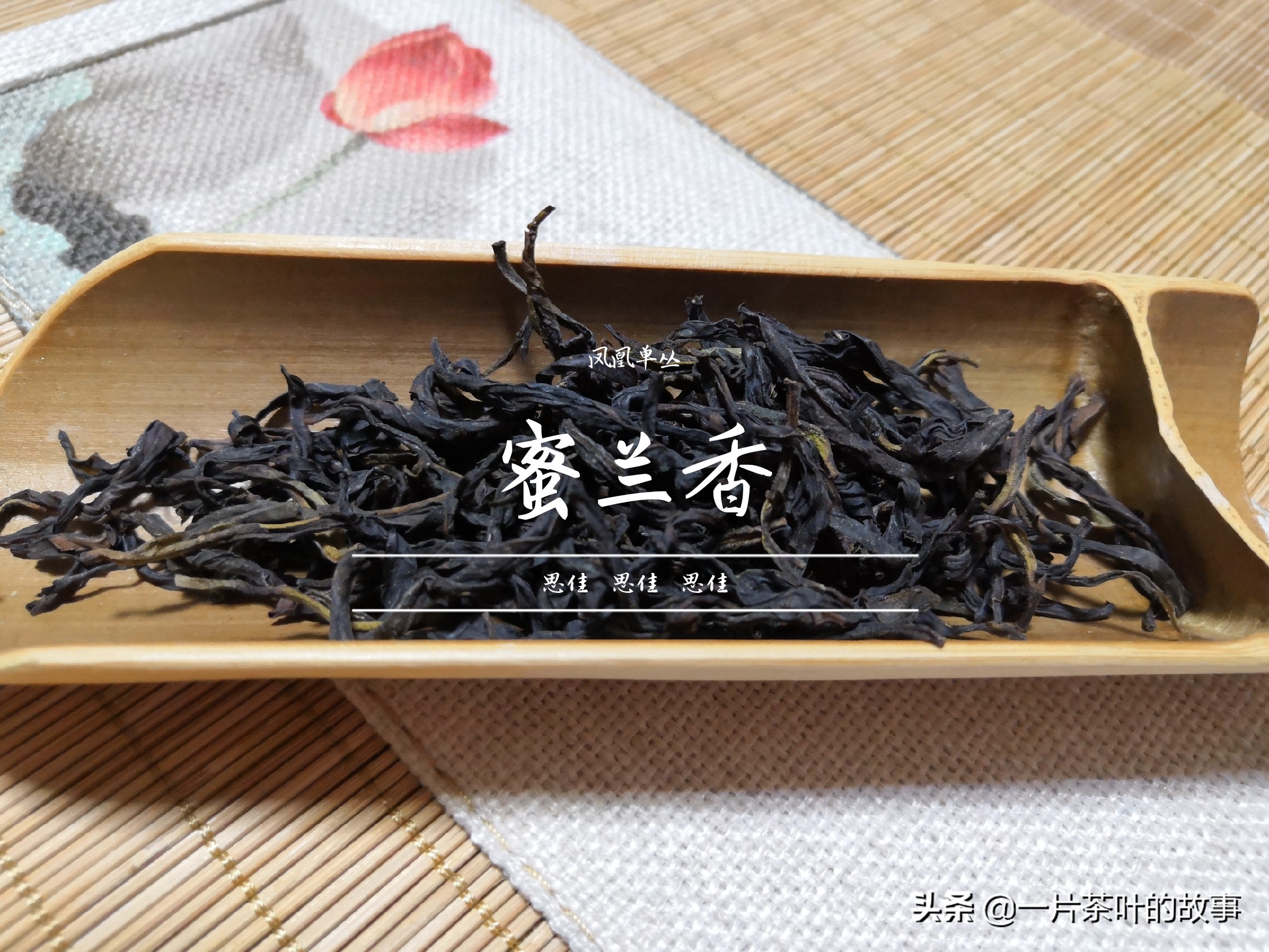 凤凰单丛冲泡方法和技巧,凤凰单丛正确冲泡方法