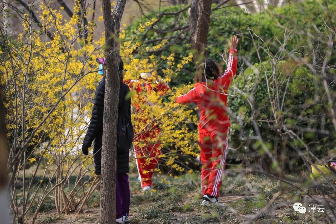 天津市今天哪个公园开放了,2020天津已开放的郊野公园