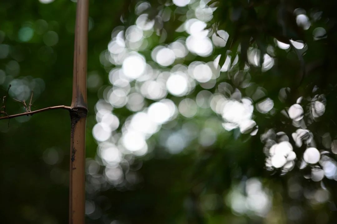 定价1799元！一款定位经济、轻便的挂机头评测