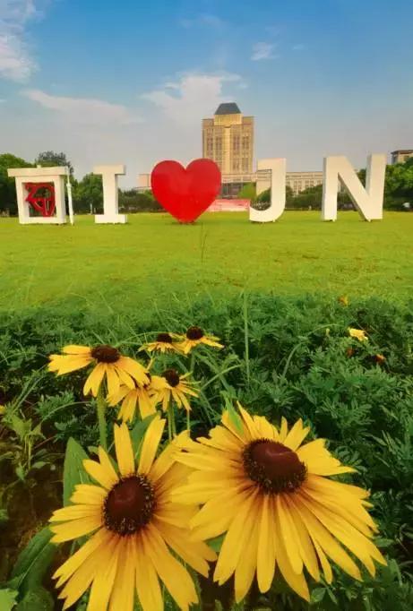 亚洲宜居城市排名2019,中国唯一一个国际评选的宜居城市