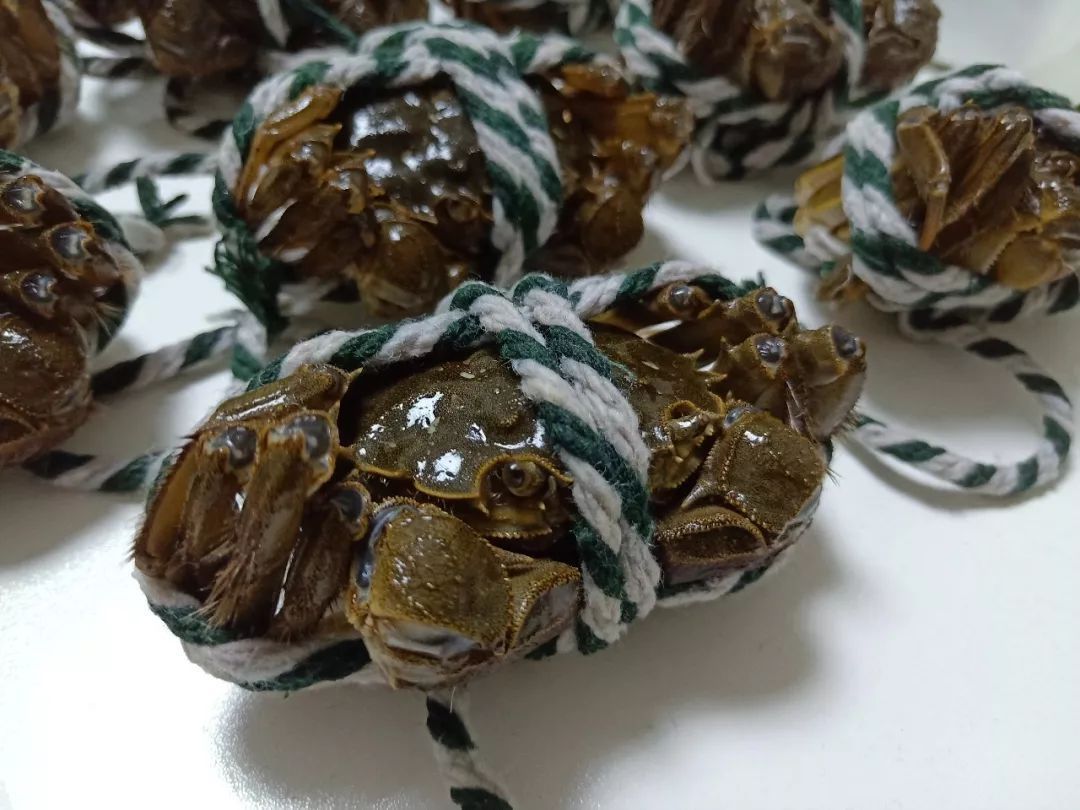 大闸蟹蒸熟了放冰箱能保存多久,大闸蟹冰箱保存方法用泡沫箱